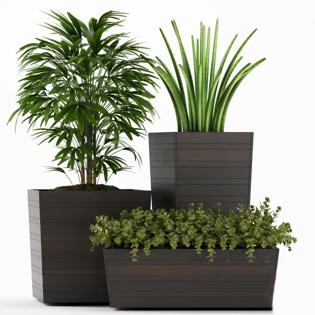 decoration – Plants 136 3ds Max