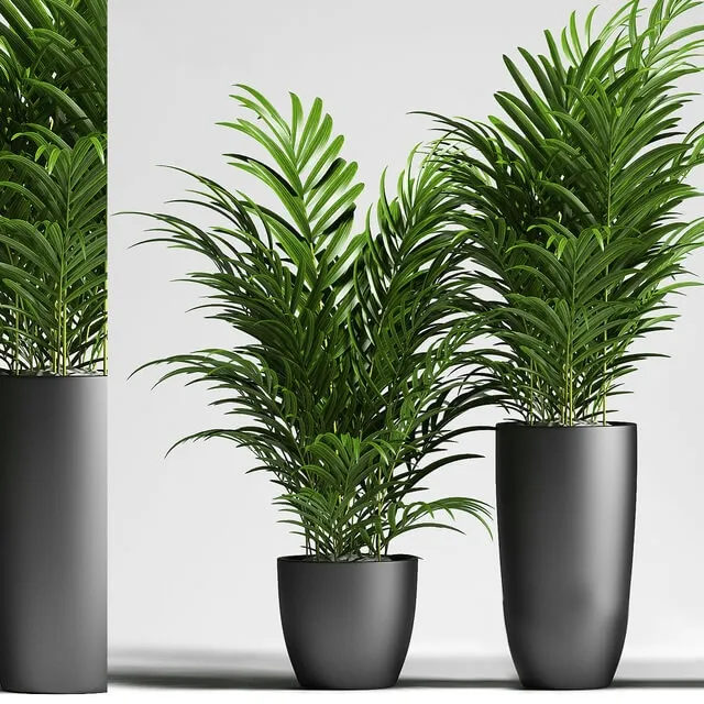 decoration – Plants 137 3ds Max
