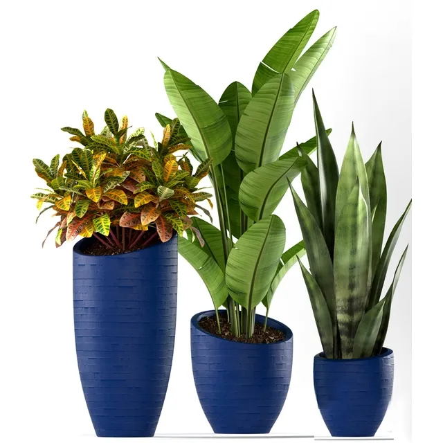 decoration – Plants 138 3ds Max