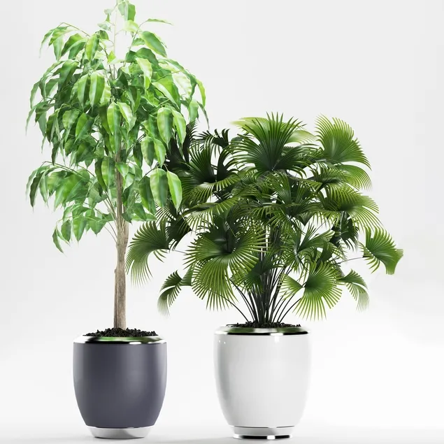 decoration – Plants 139 3ds Max