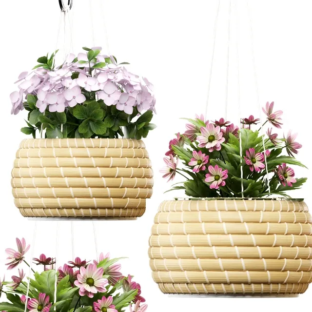 decoration – Plants 141 3ds Max