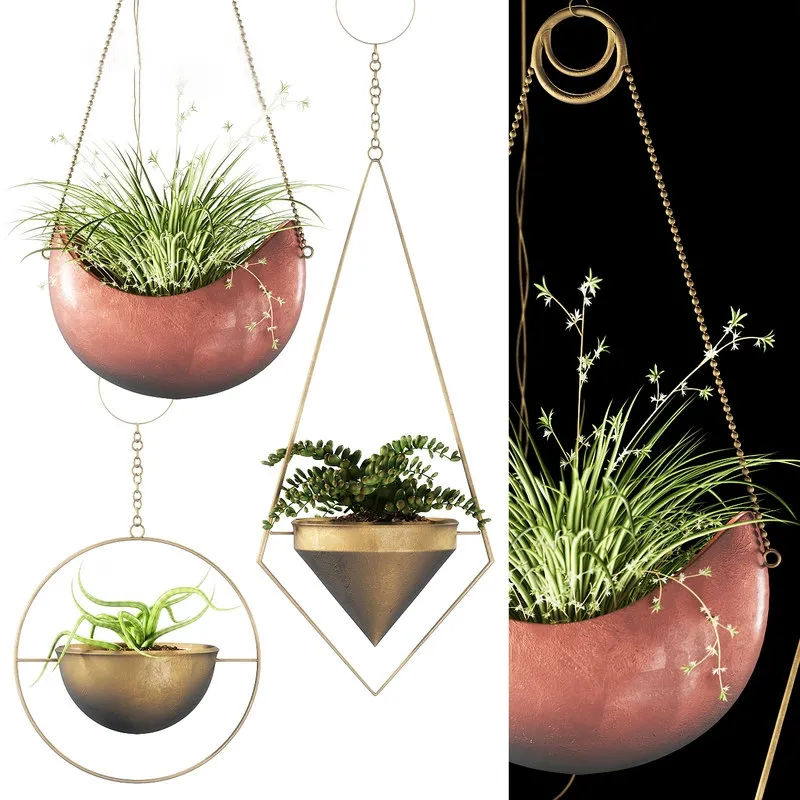 decoration – Plants 143 3ds Max