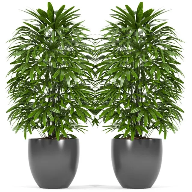 decoration – Plants 147 3ds Max