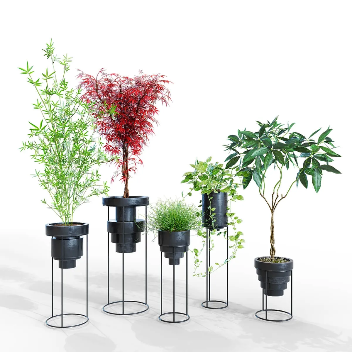 decoration – Plants 15 3ds Max