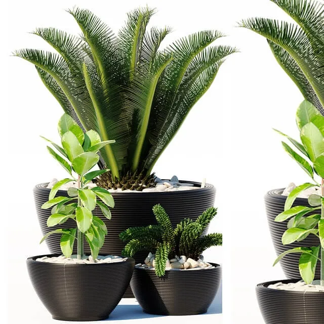 decoration – Plants 151 3ds Max