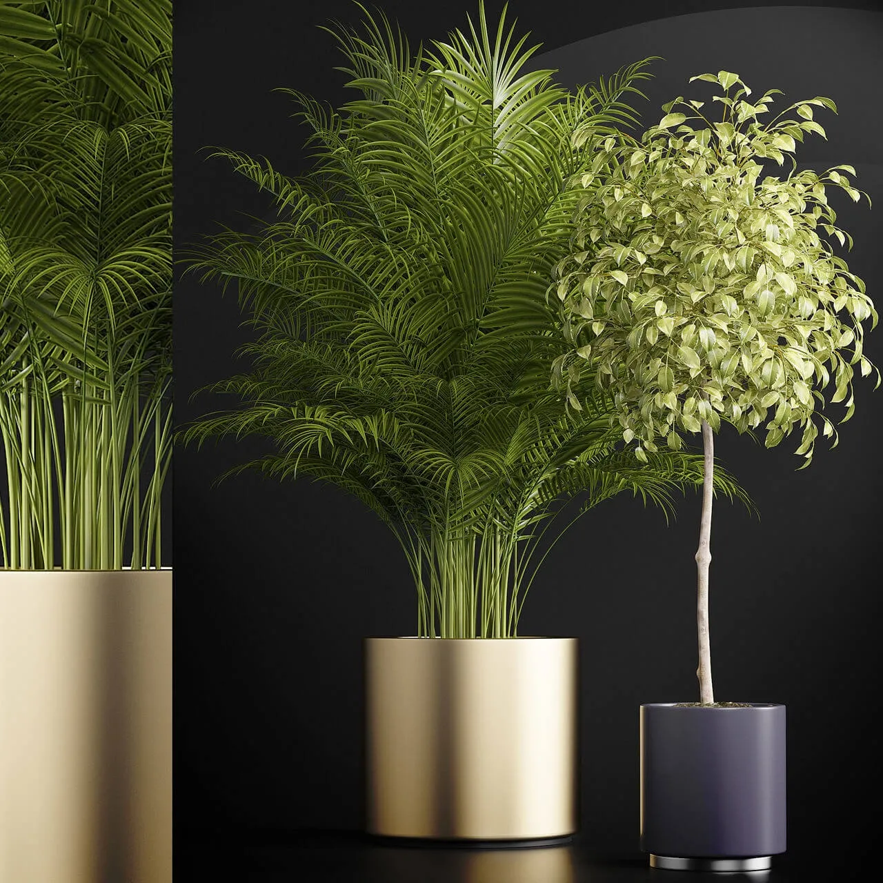 decoration – Plants 152 3ds Max
