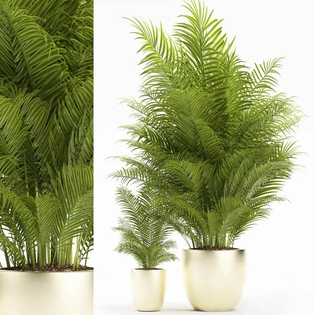 decoration – Plants 156 3ds Max