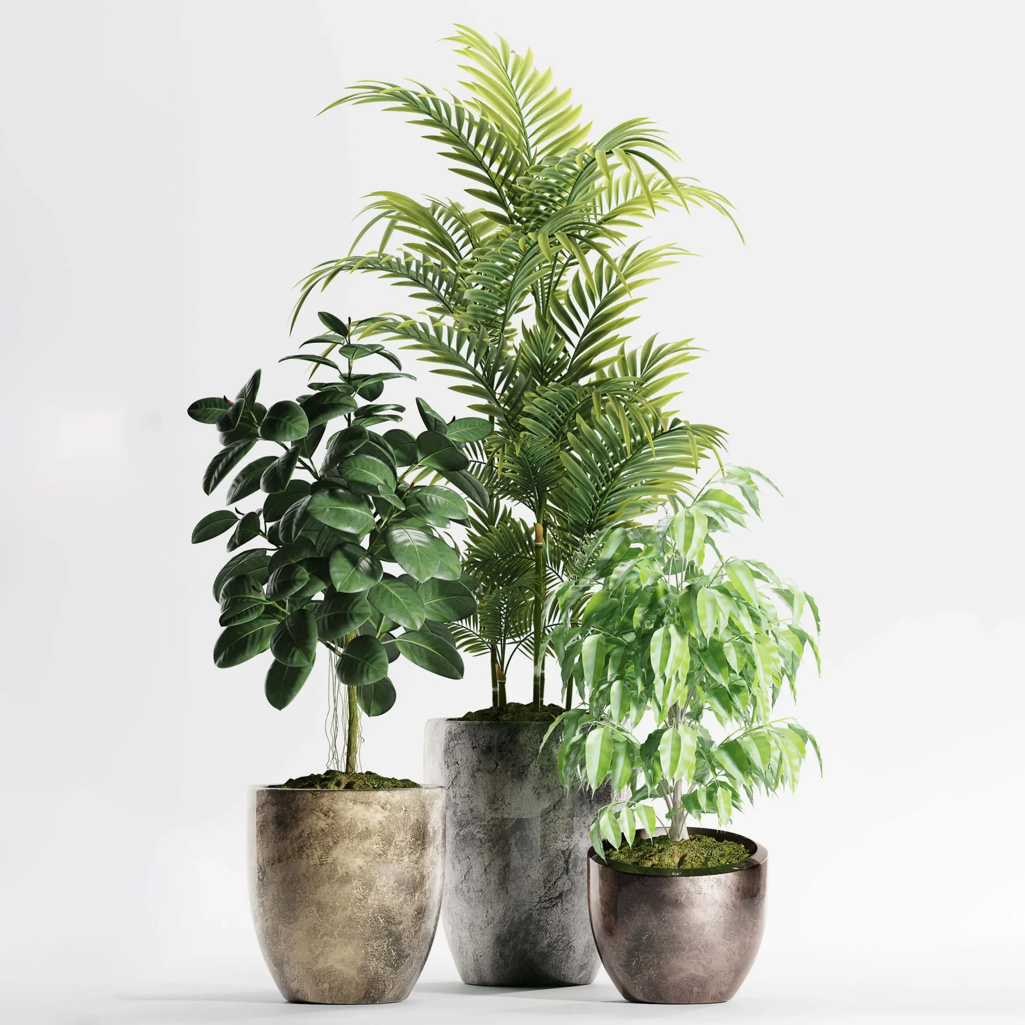 decoration – Plants 159 3ds Max