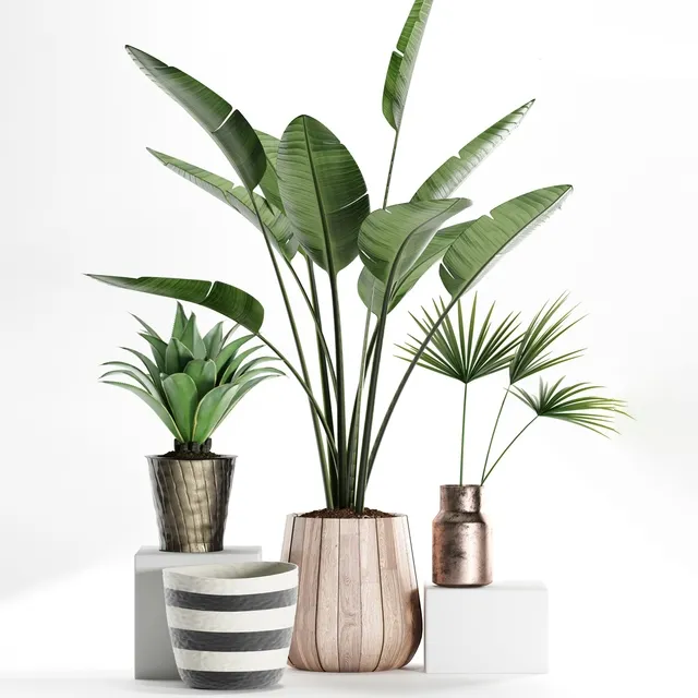 decoration – Plants 160 3ds Max