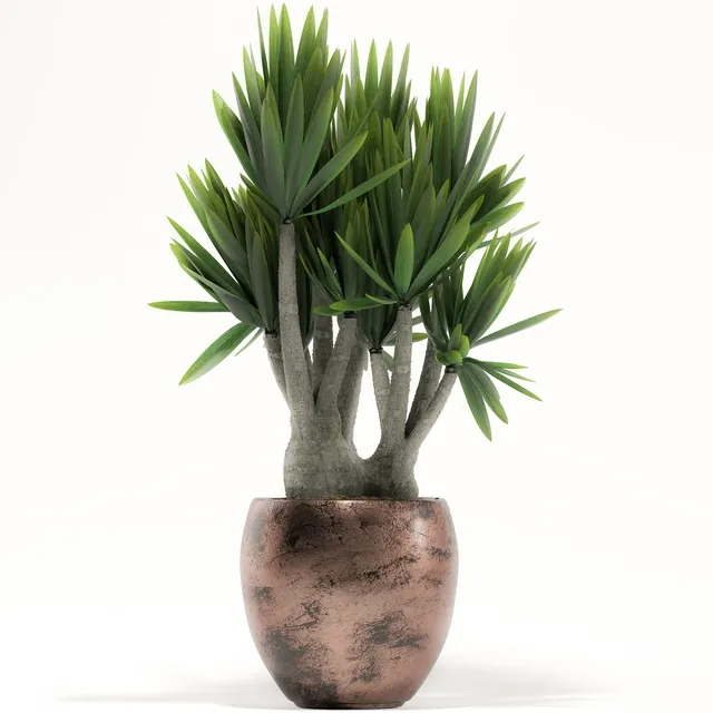 decoration – Plants 161 3ds Max