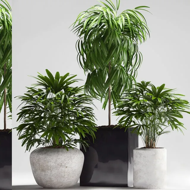 decoration – Plants 164 3ds Max