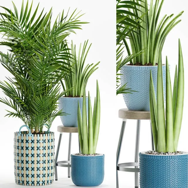 decoration – Plants  166 3ds Max