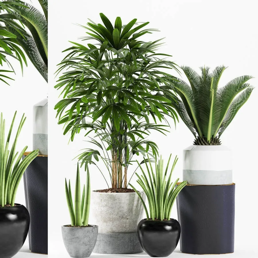 decoration – Plants 173 3ds Max