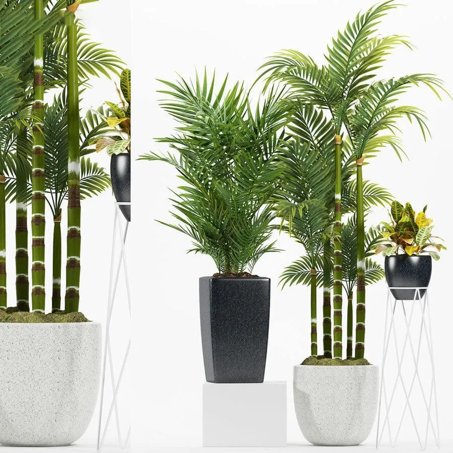 decoration – Plants 174 3ds Max