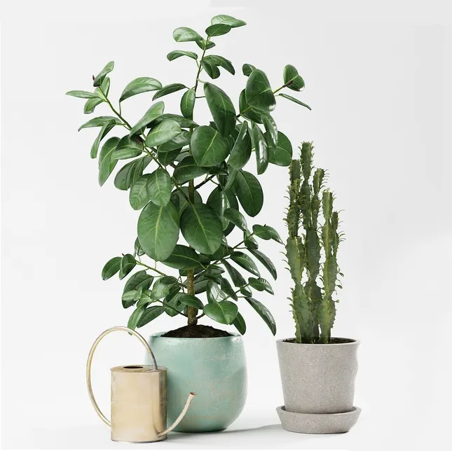 decoration – Plants 176 3ds Max