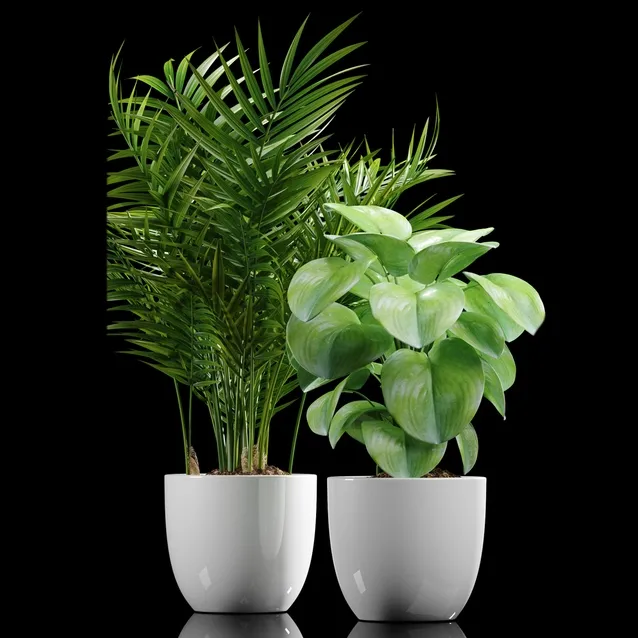 decoration – Plants 177 3ds Max