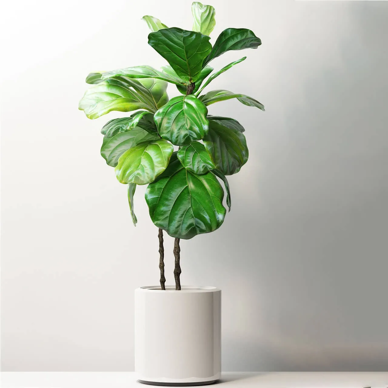 decoration – Plants 181 3ds Max