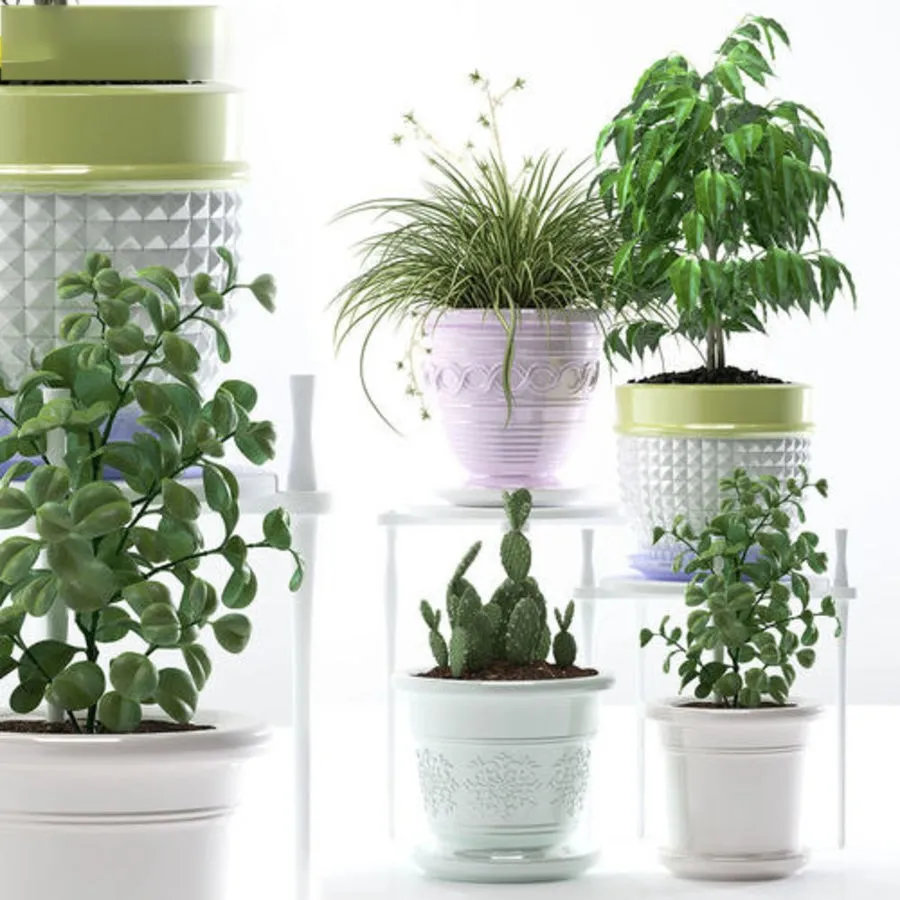 decoration – Plants 183 3ds Max