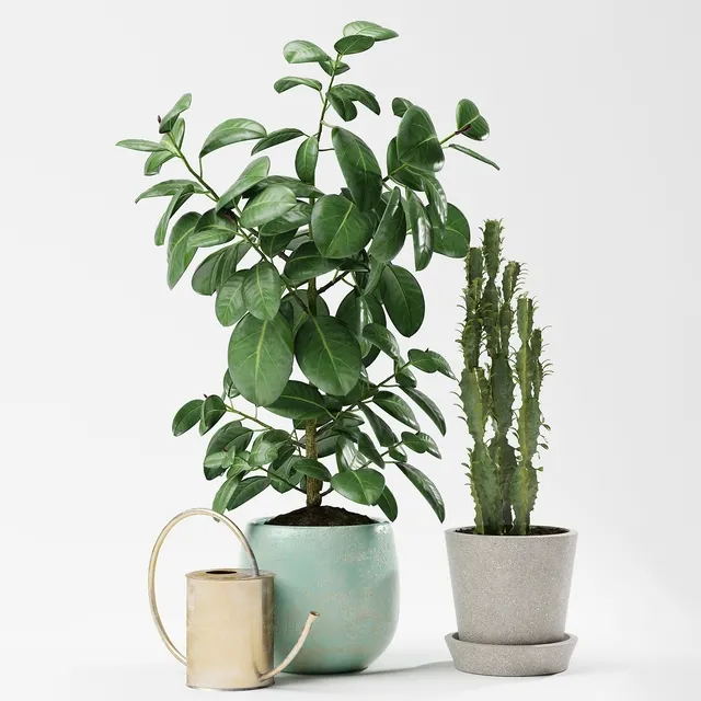 decoration – Plants 186 3ds Max