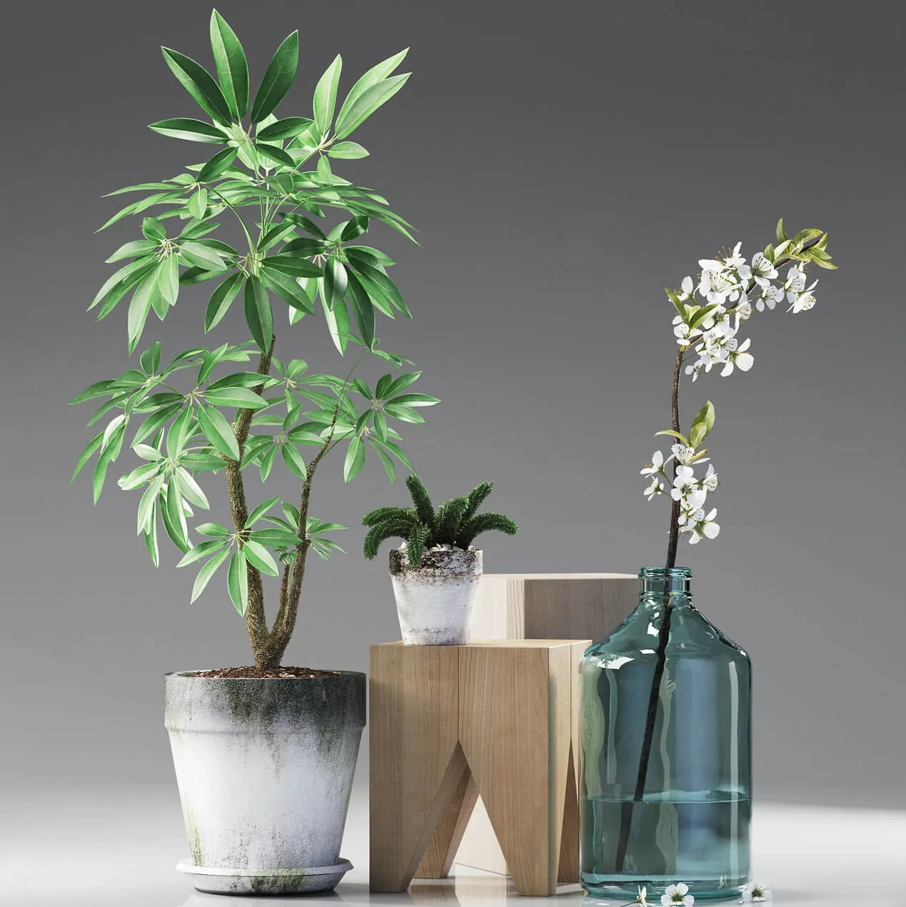 decoration – Plants 187 3ds Max