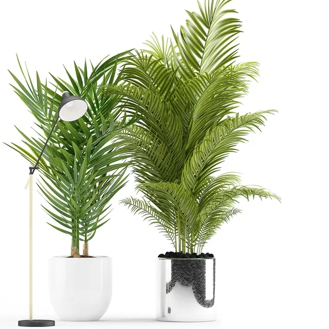 decoration – Plants 191 3ds Max