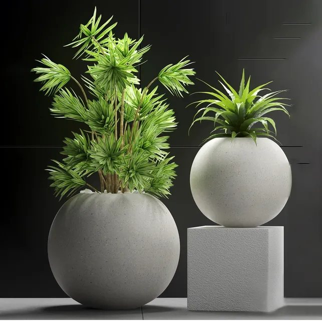 decoration – Plants 196 3ds Max