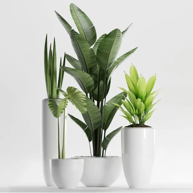 decoration – Plants 199 3ds Max