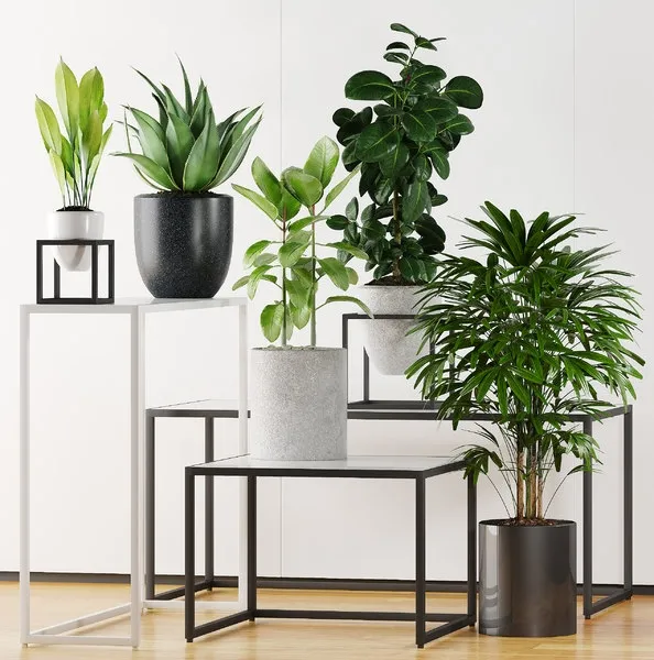 decoration – Plants 203 3ds Max