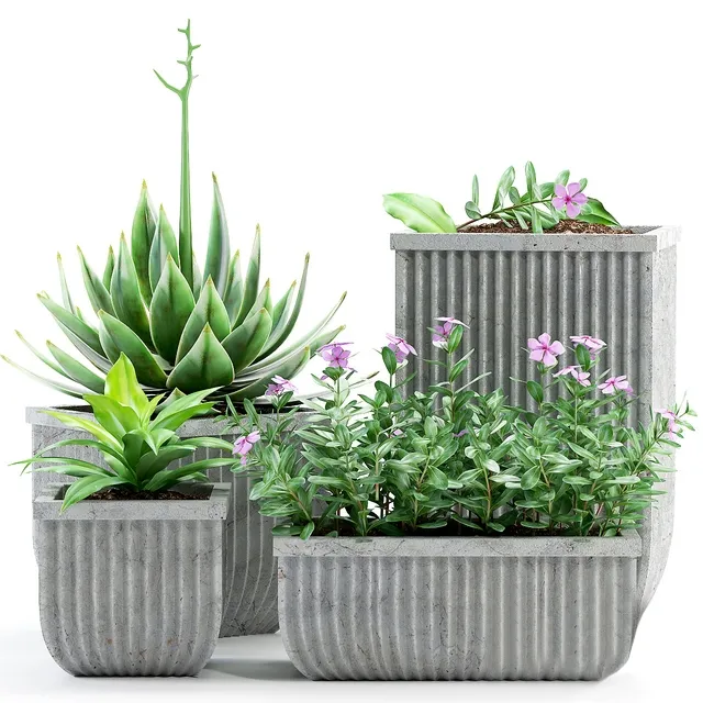 decoration – Plants 209 3ds Max