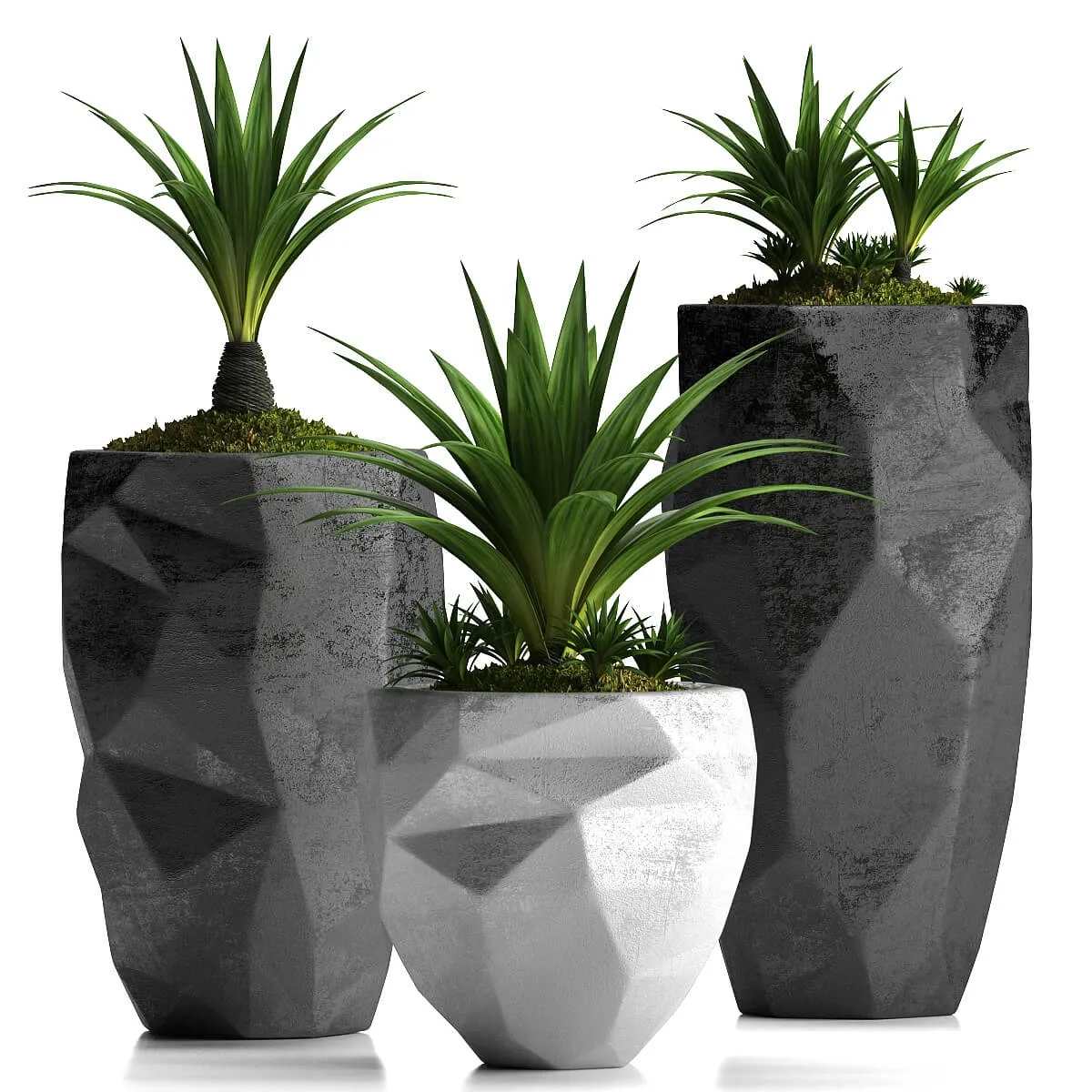 decoration – Plants 33 3ds Max