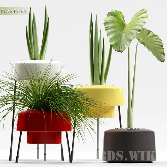 decoration – PLANTS 3ds Max