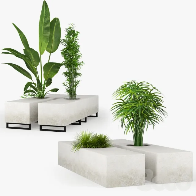decoration – Plants 3ds Max