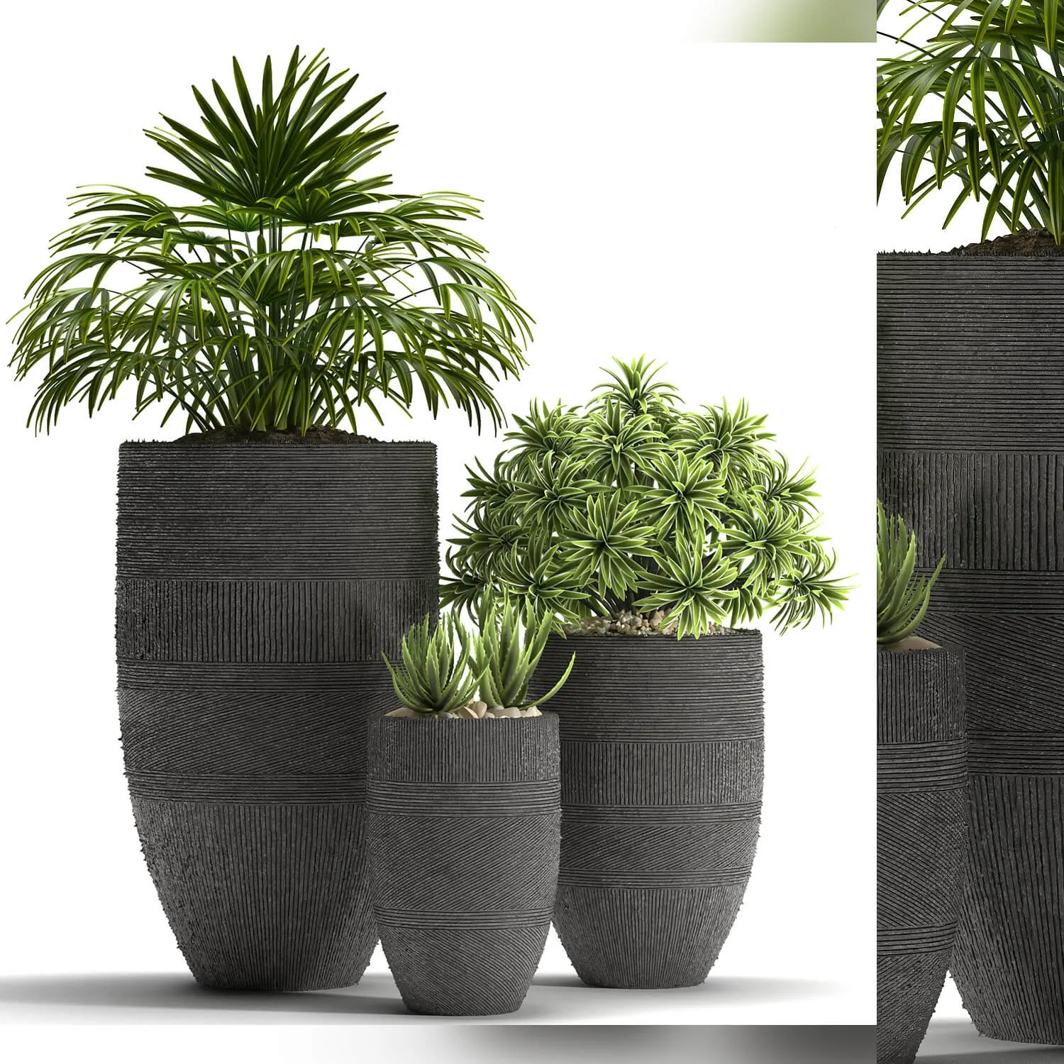 decoration – Plants 42 3ds Max