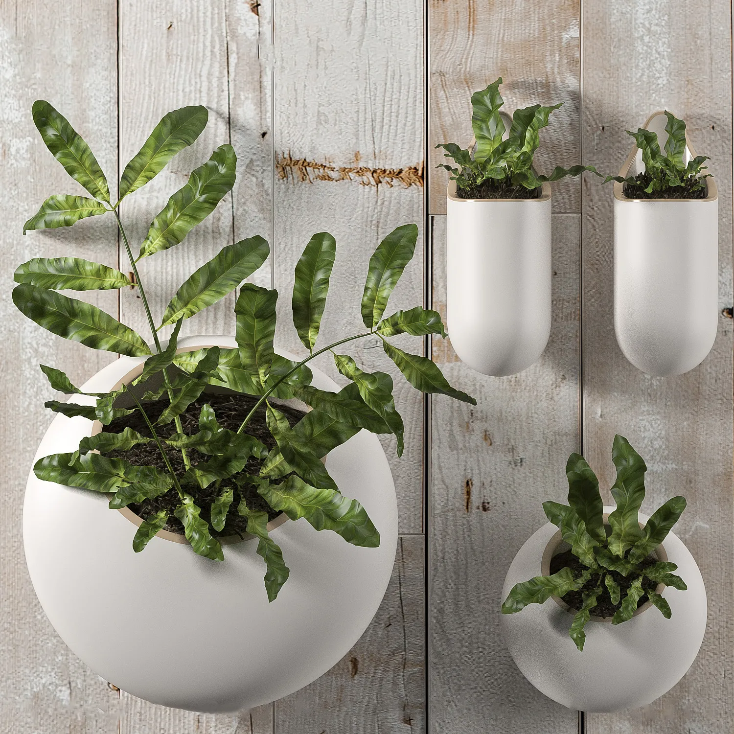 decoration – Plants 43 3ds Max