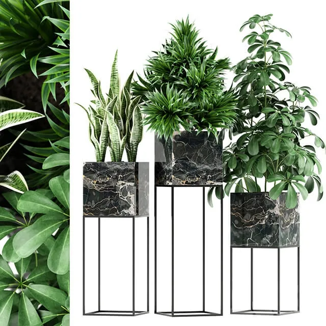 decoration – Plants 45 3ds Max