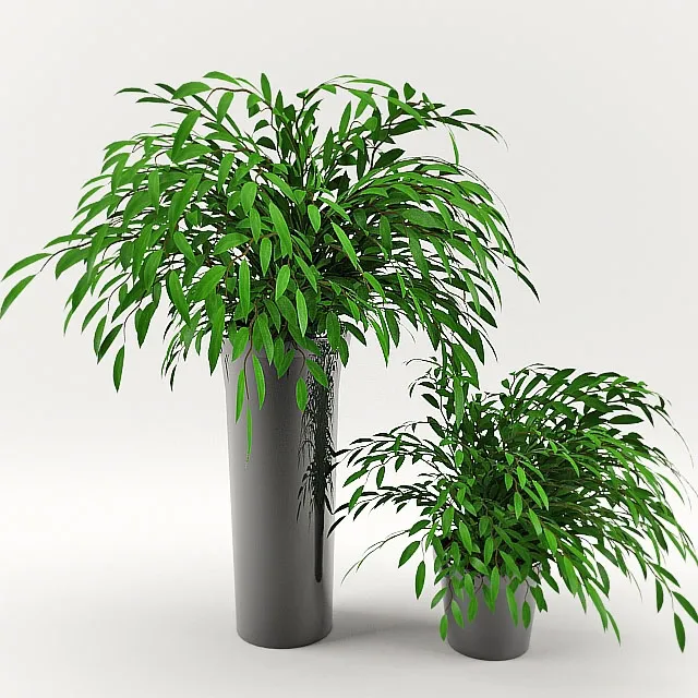 decoration – Plants 456 3ds Max