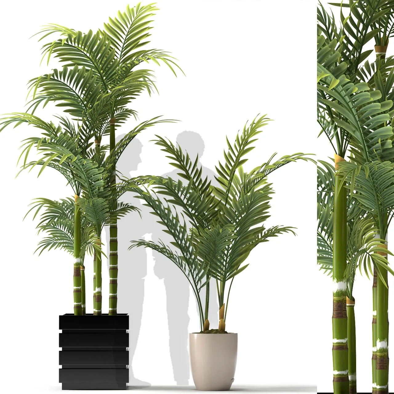 decoration – Plants 5056 3ds Max