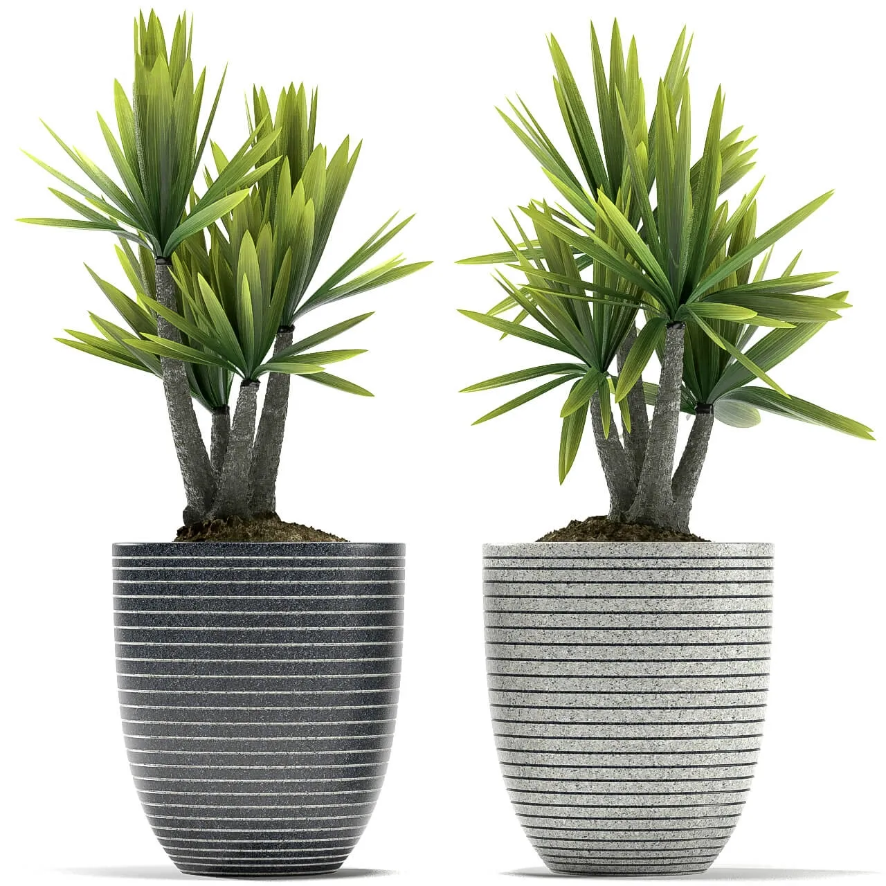 decoration – Plants 5059 3ds Max