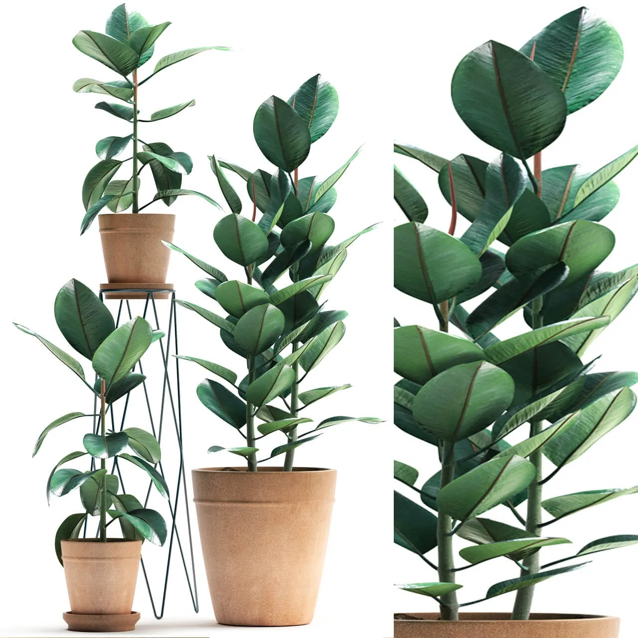 decoration – Plants 5061 3ds Max