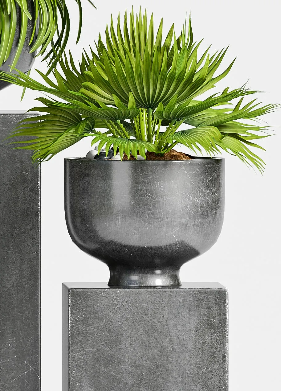 decoration – Plants-54 3ds Max