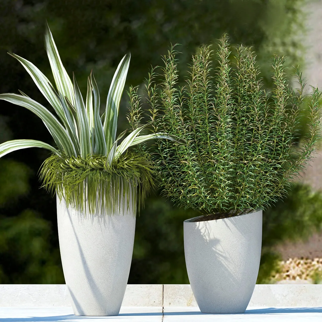 decoration – Plants 545 3ds Max