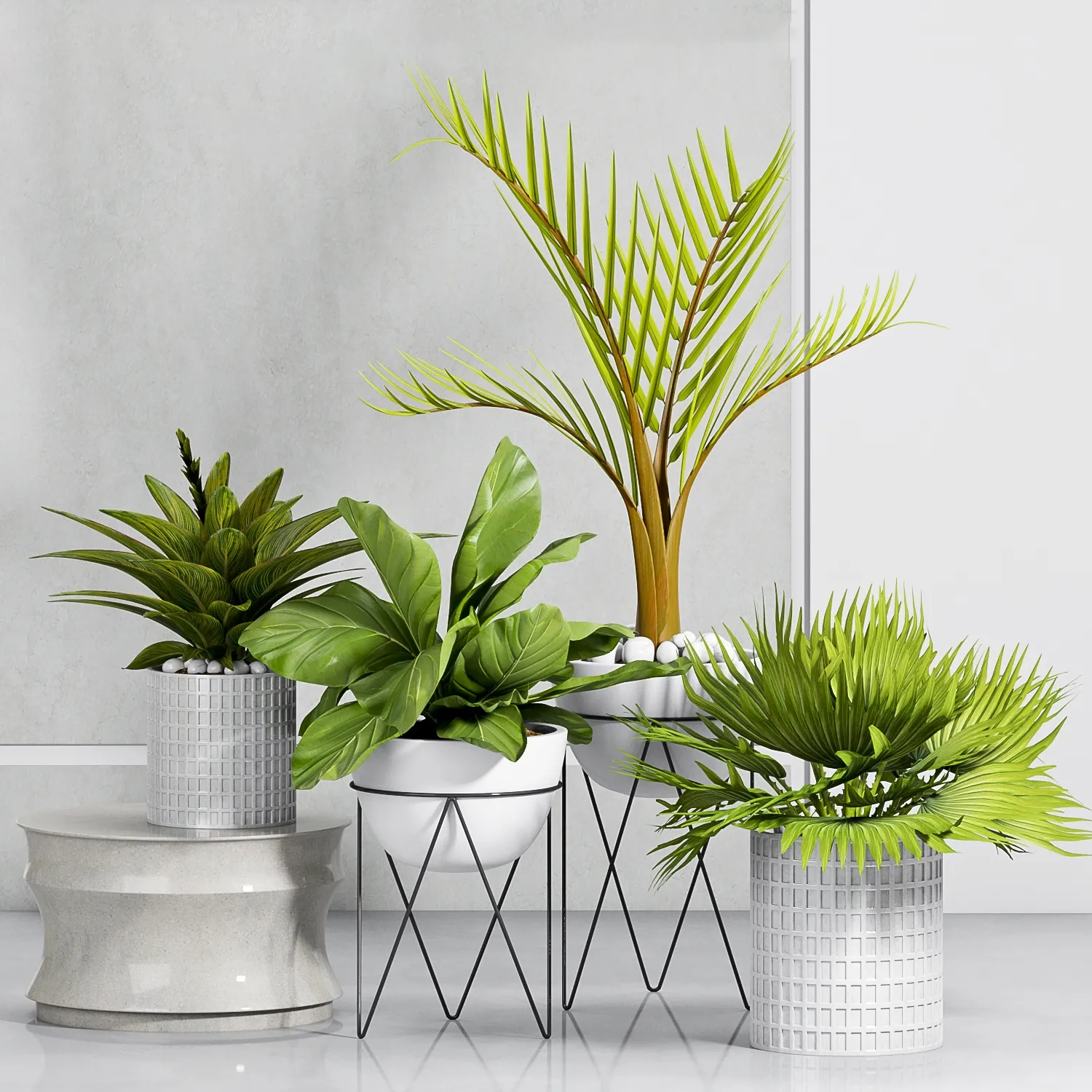 decoration – Plants-55 3ds Max