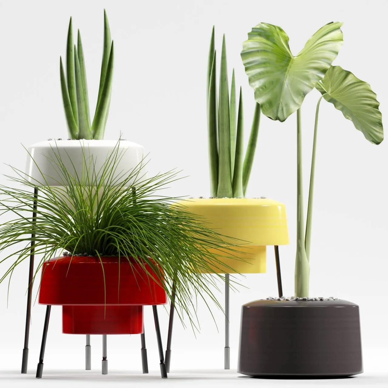 decoration – Plants 557 3ds Max