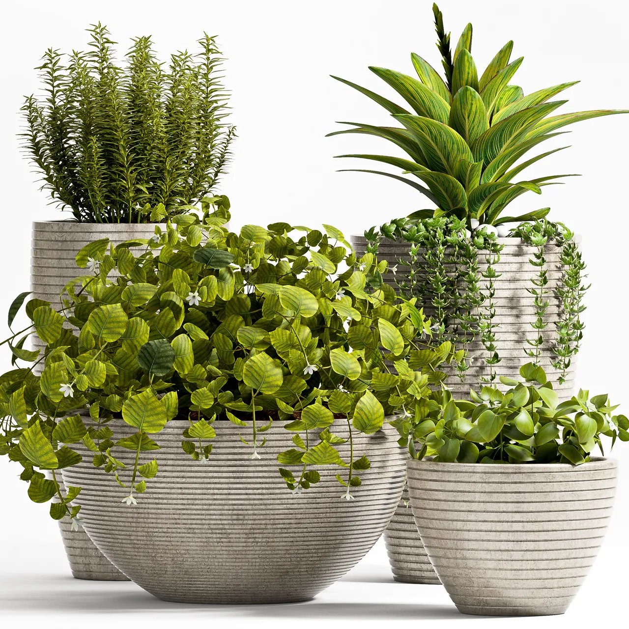 decoration – Plants 57 3ds Max