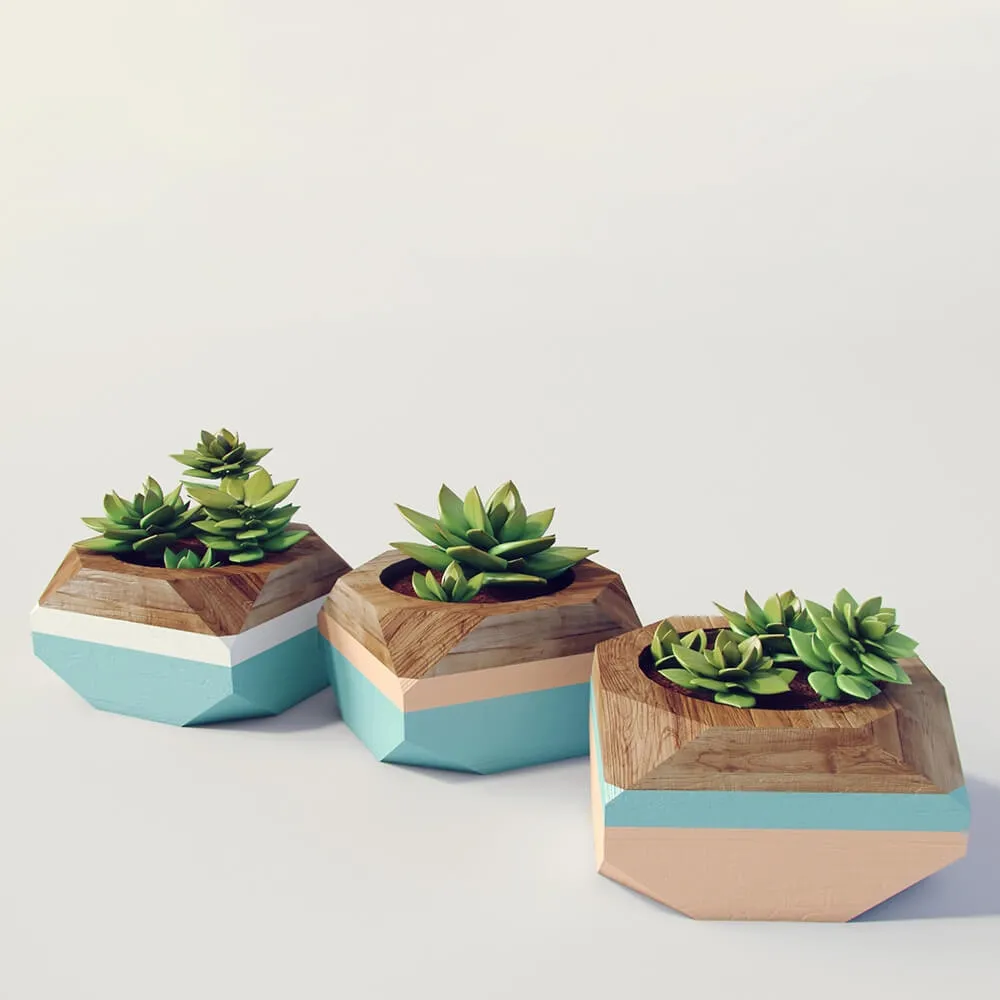 decoration – Plants 582 3ds Max