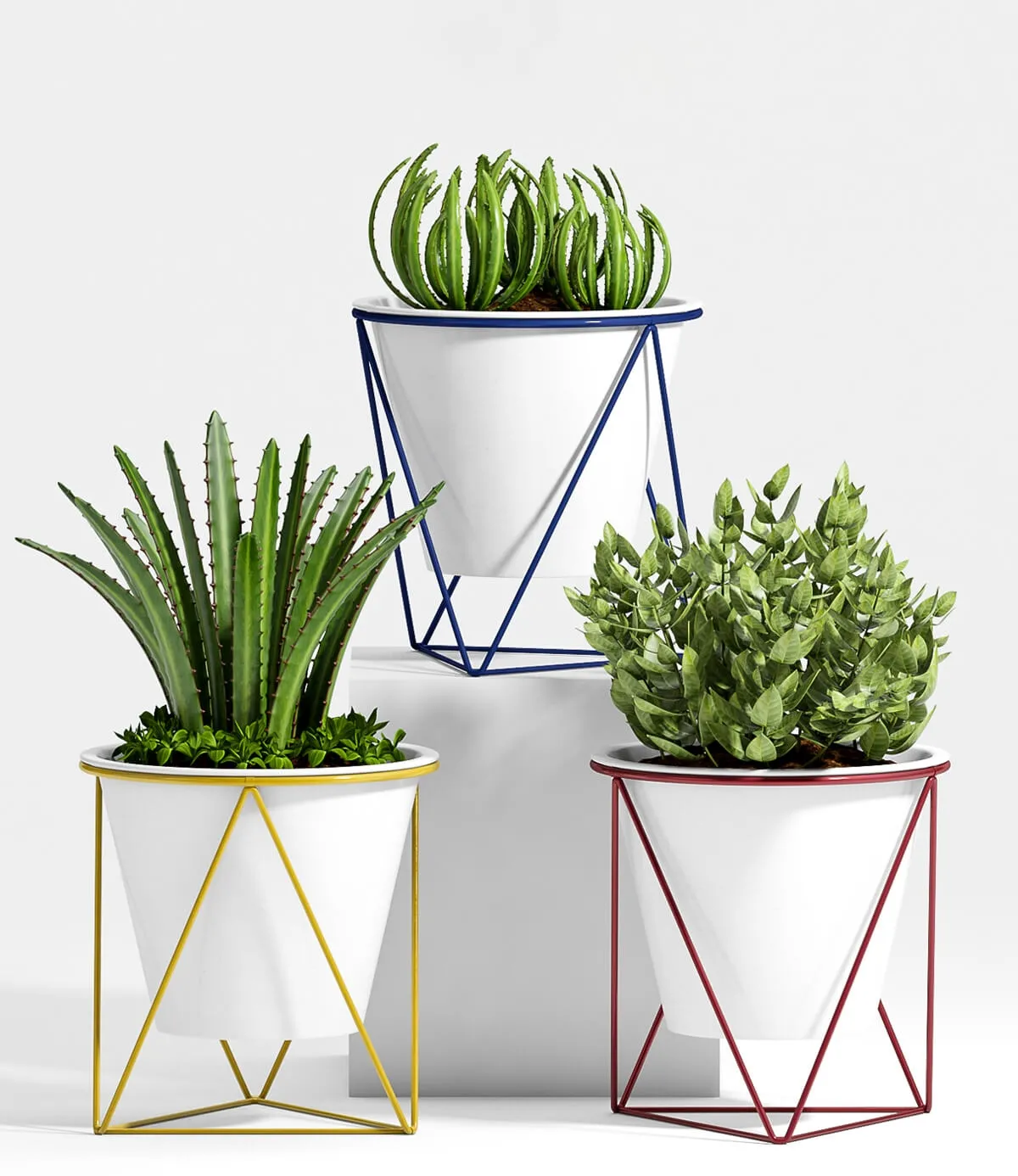 decoration – Plants 59 3ds Max