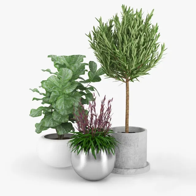 decoration – Plants 85 3ds Max