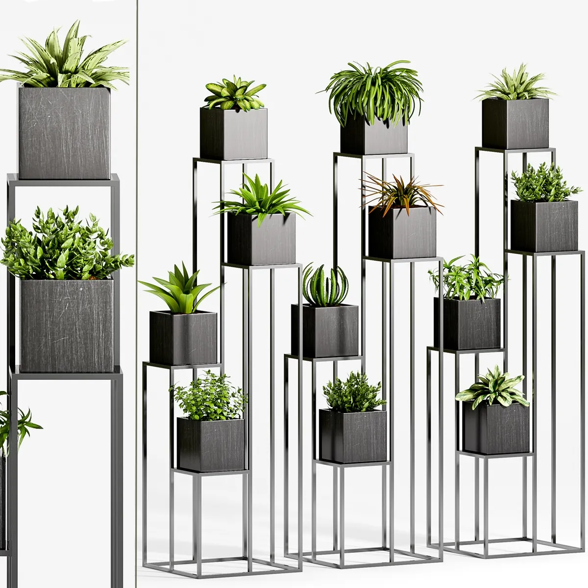 decoration – Plants 87 3ds Max