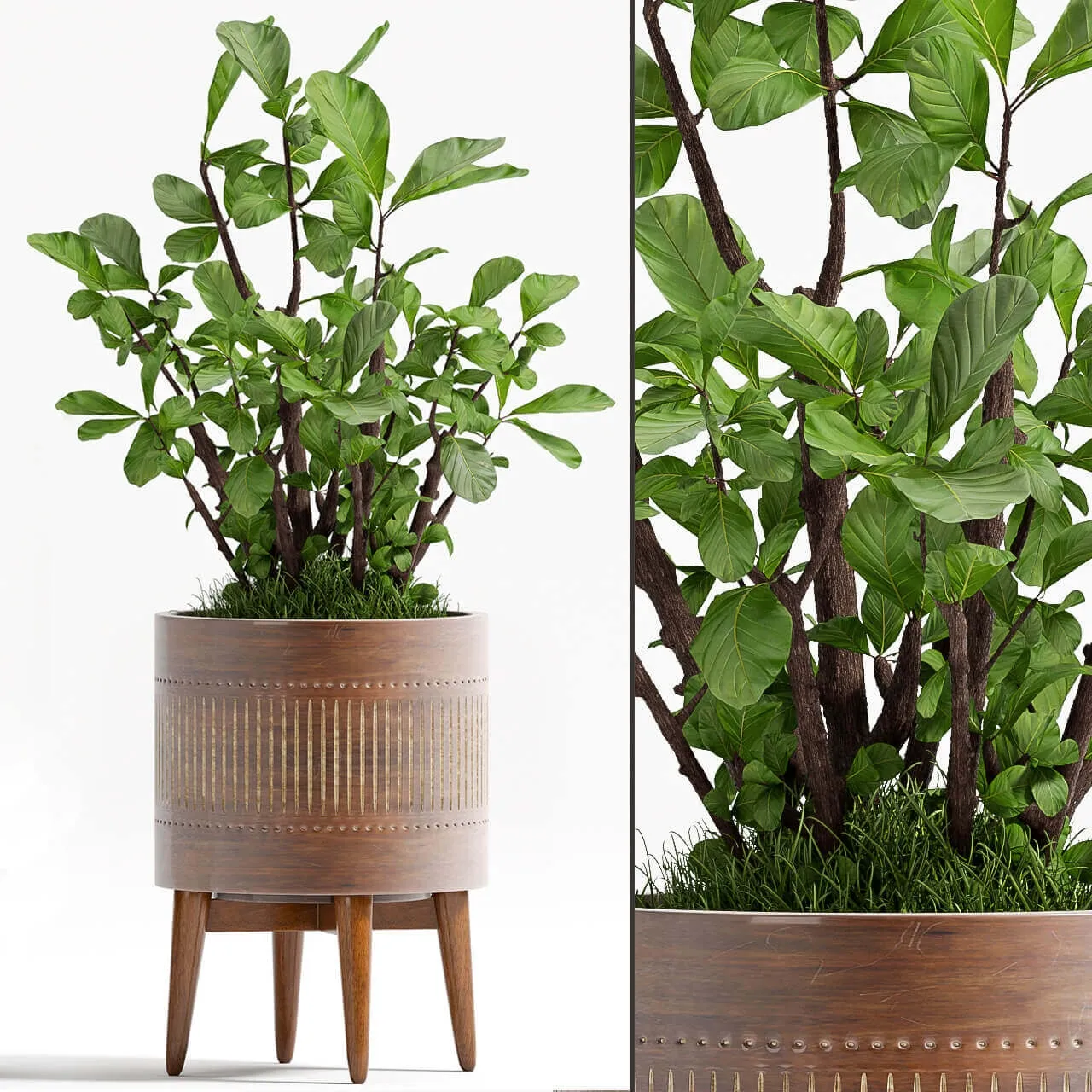 decoration – Plants 88 3ds Max