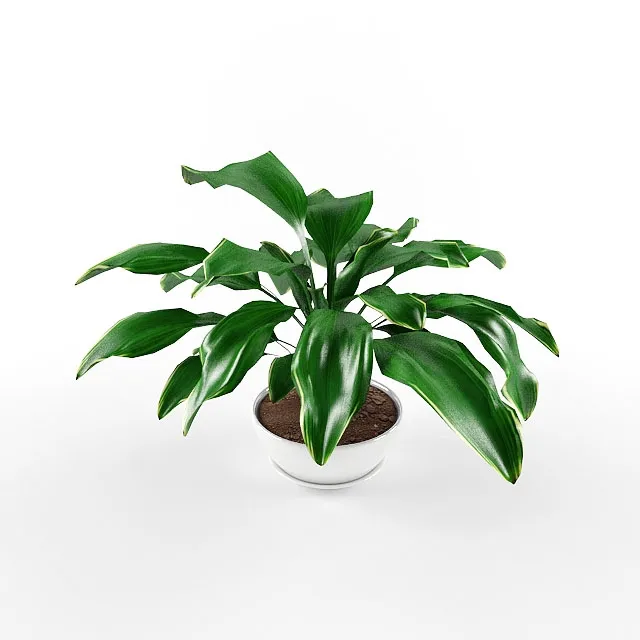 decoration – Plants 91 3ds Max